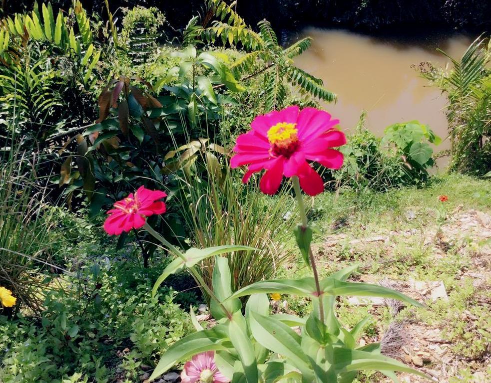 Lanta Wanida Resort Ko Lanta Esterno foto